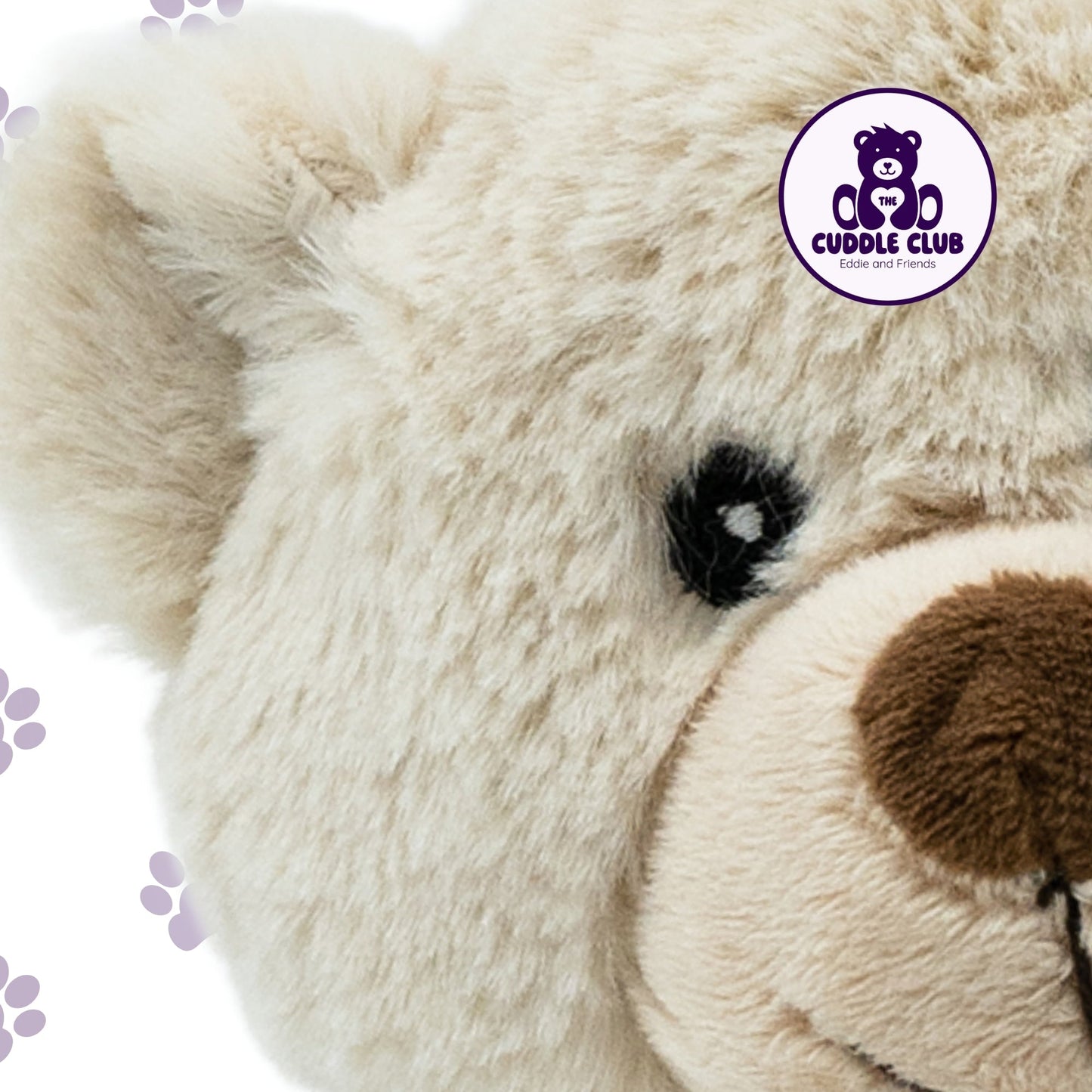 Eddie the Teddy | Soft Toy with Removable T-Shirt - Class Fundraising UK