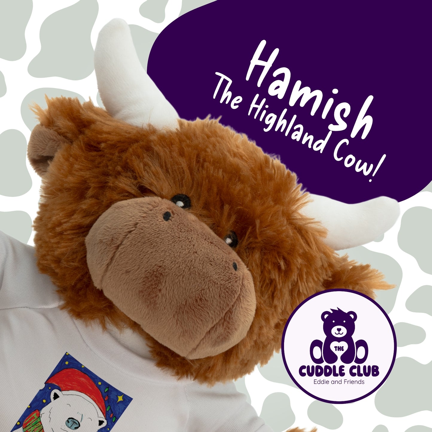 Hamish the Highland Cow | Soft Toy with Removable T-Shirt