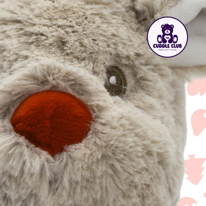 Ronnie the Reindeer | Soft Toy with Removable Printed T-Shirt