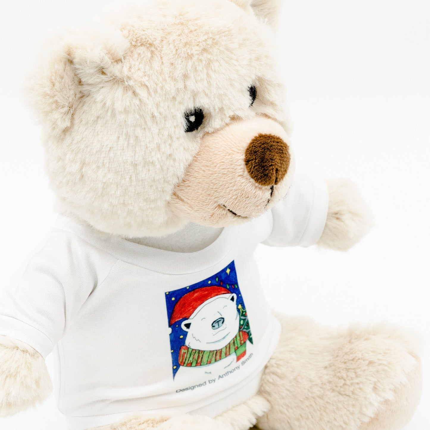 Eddie the Teddy - Christmas Bear Soft Toy with Removable T - Shirt - Class Fundraising UK