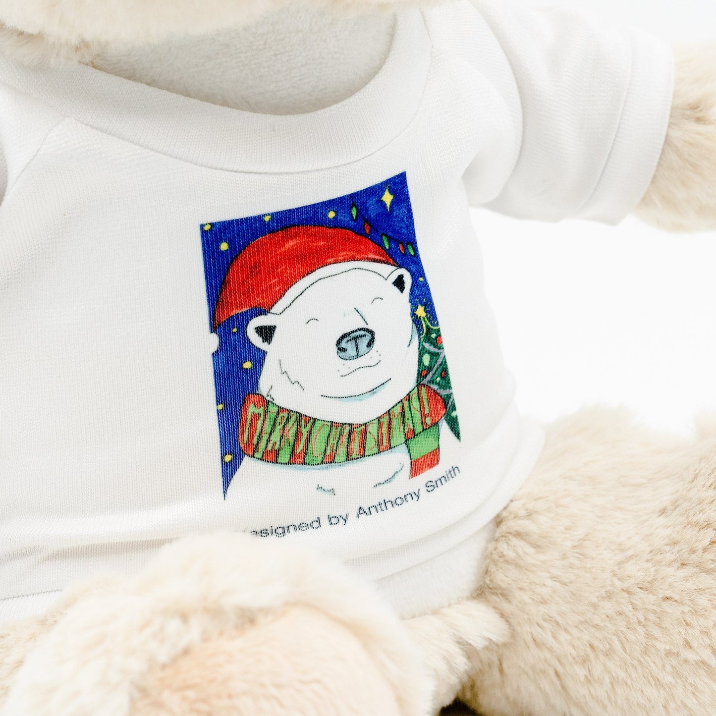 Eddie the Teddy - Christmas Bear Soft Toy with Removable T - Shirt - Class Fundraising UK