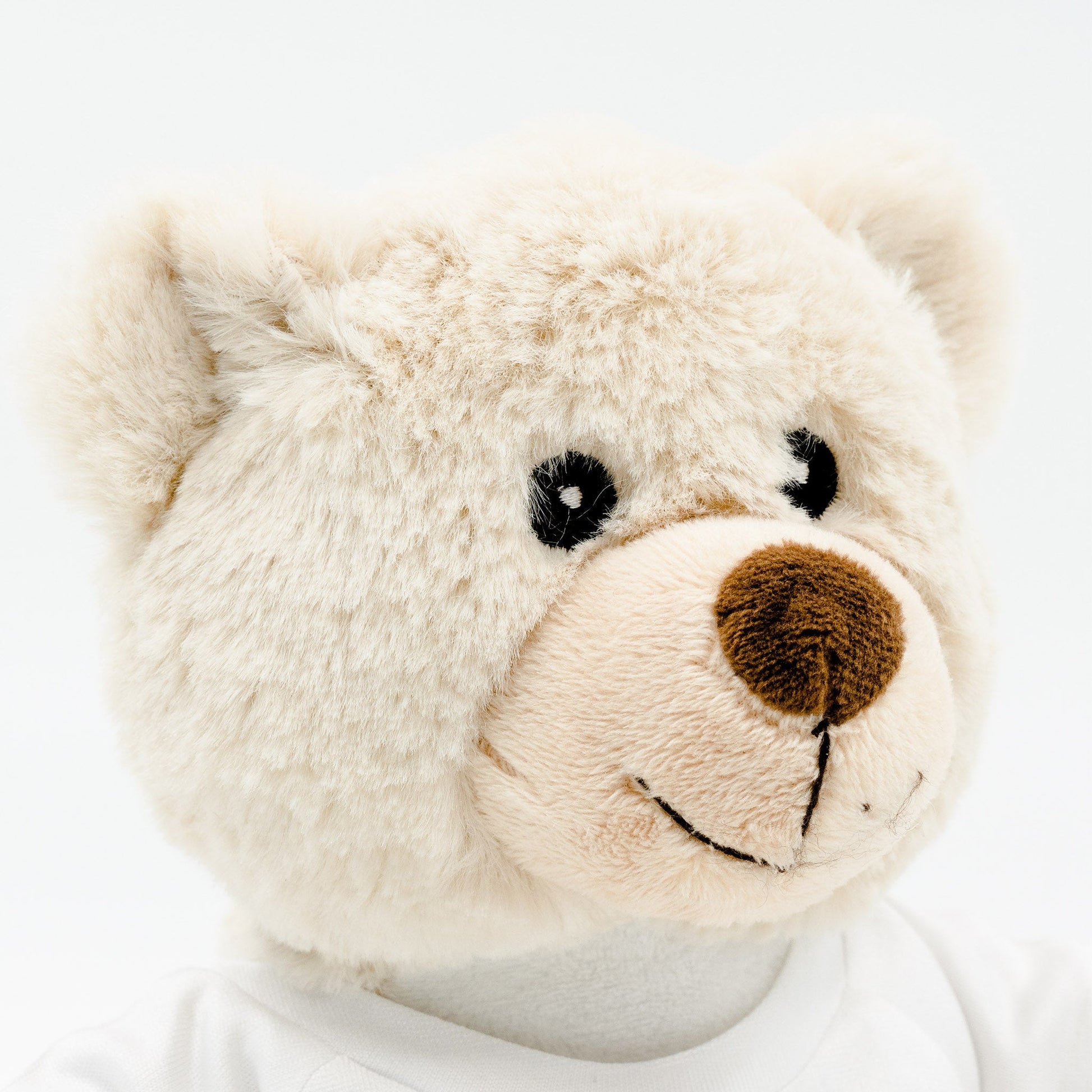 Eddie the Teddy - Christmas Bear Soft Toy with Removable T - Shirt - Class Fundraising UK