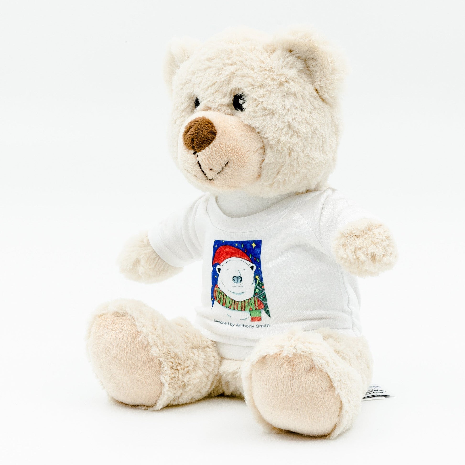 Eddie the Teddy - Christmas Bear Soft Toy with Removable T - Shirt - Class Fundraising UK