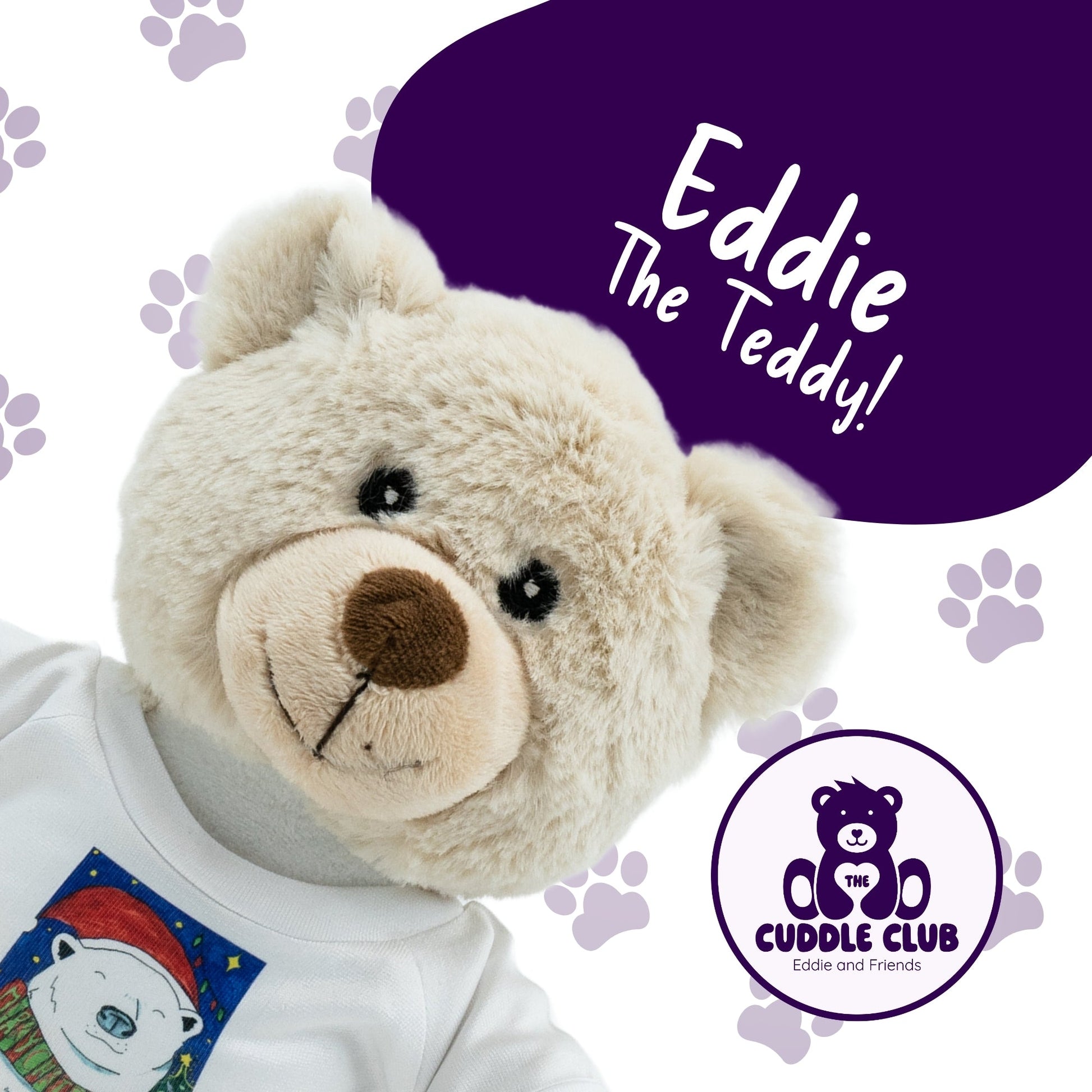 Eddie the Teddy | Soft Toy with Removable T-Shirt - Class Fundraising UK