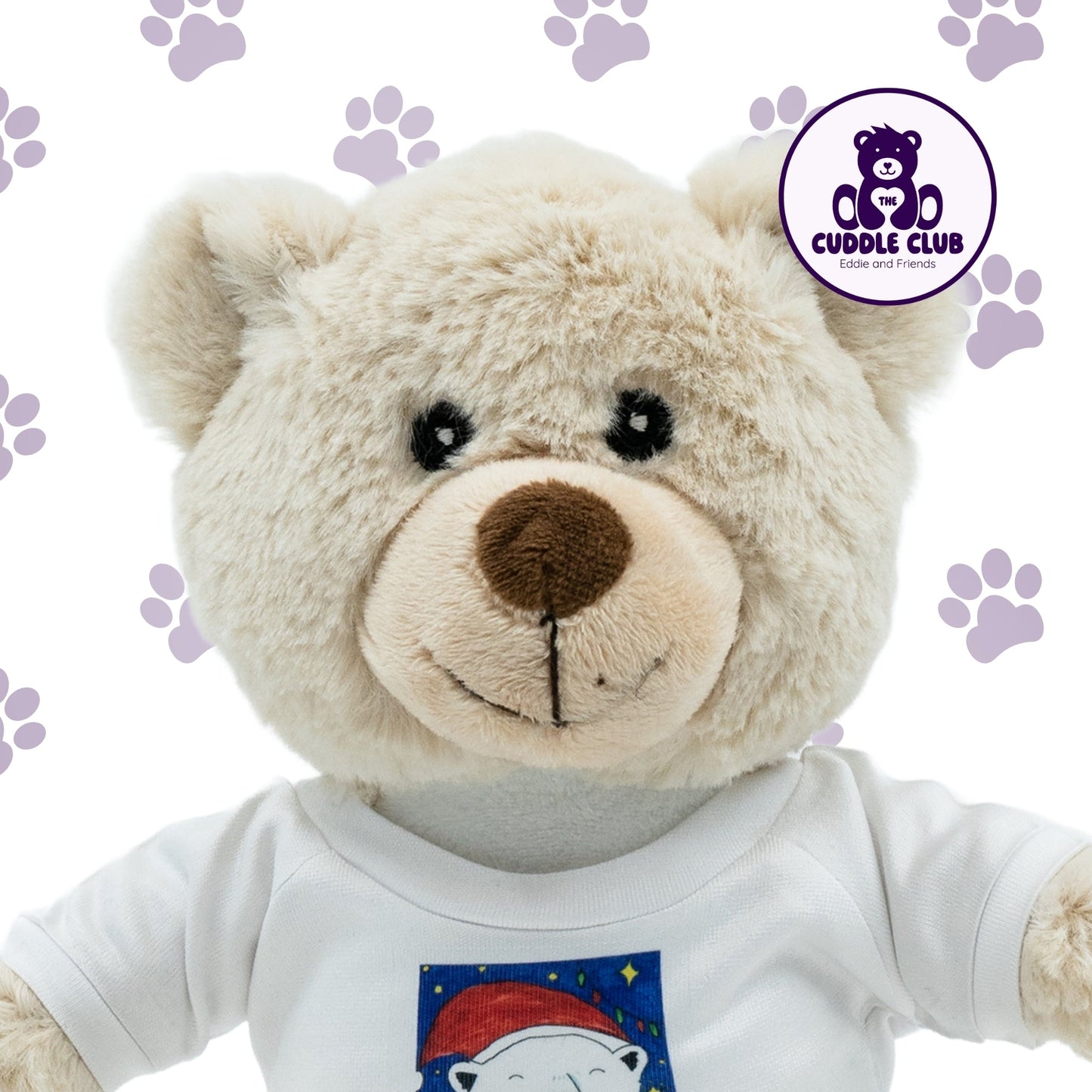 Eddie the Teddy | Soft Toy with Removable T-Shirt - Class Fundraising UK