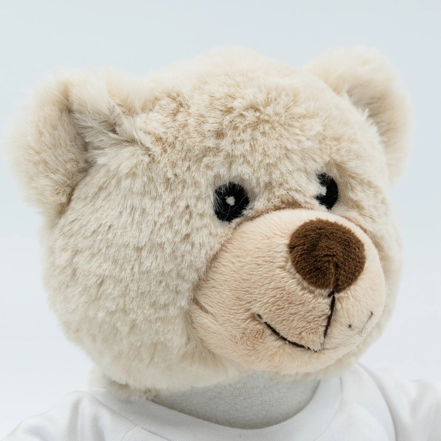 Eddie the Teddy Soft Toy - Class Fundraising UK