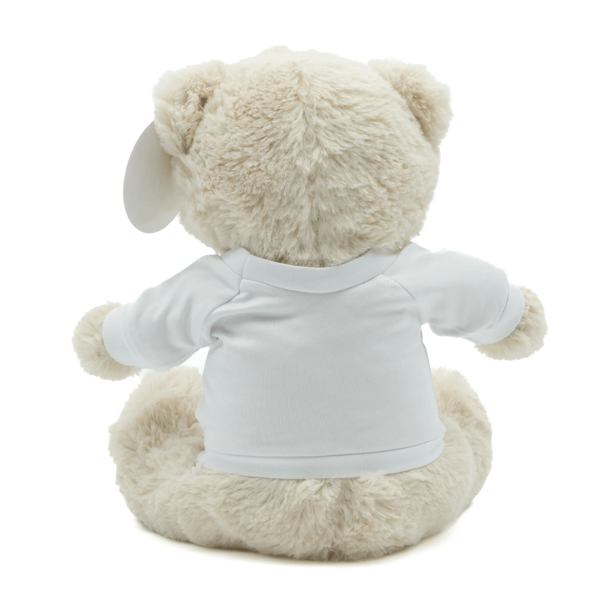 Eddie the Teddy Soft Toy - Class Fundraising UK