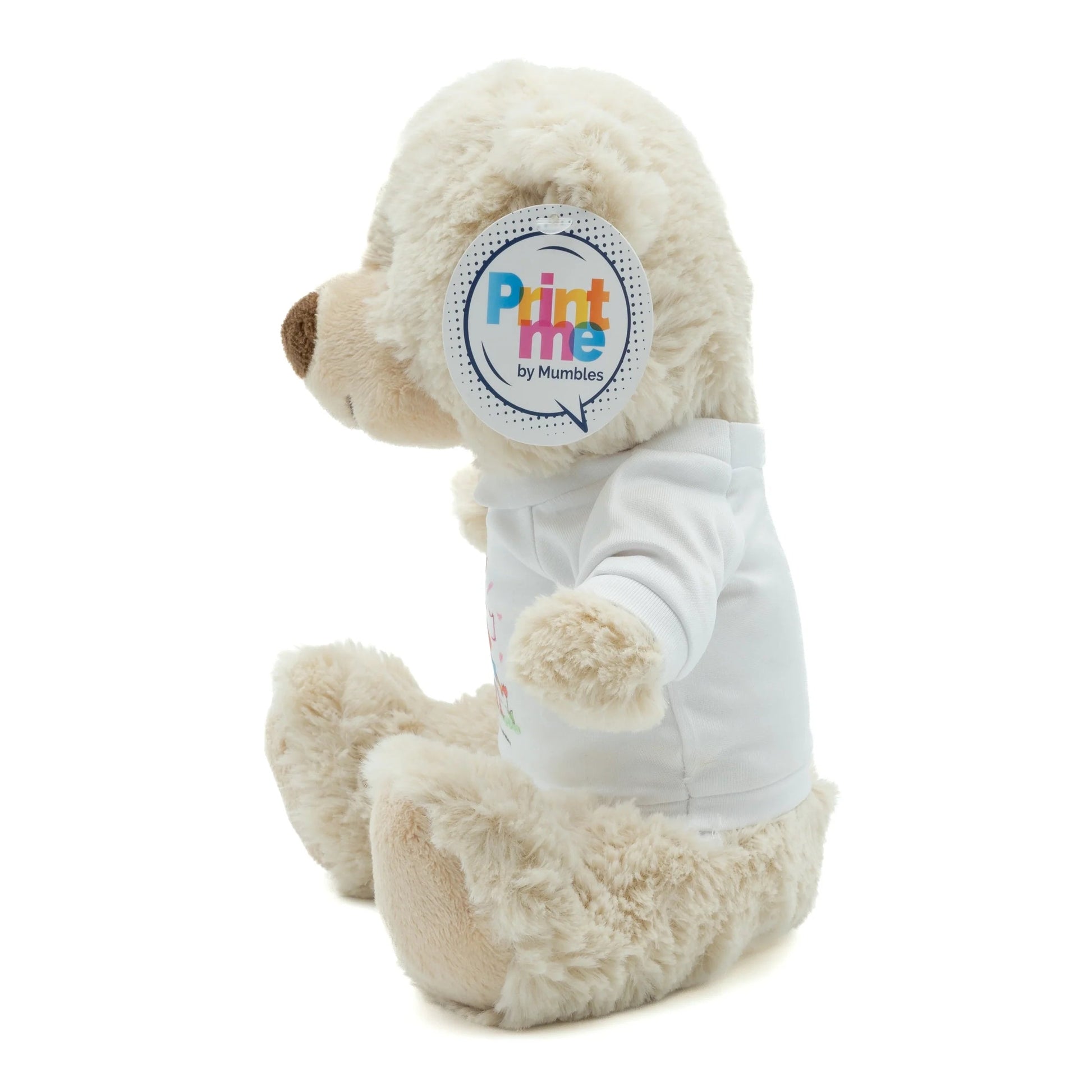 Eddie the Teddy Soft Toy - Class Fundraising UK