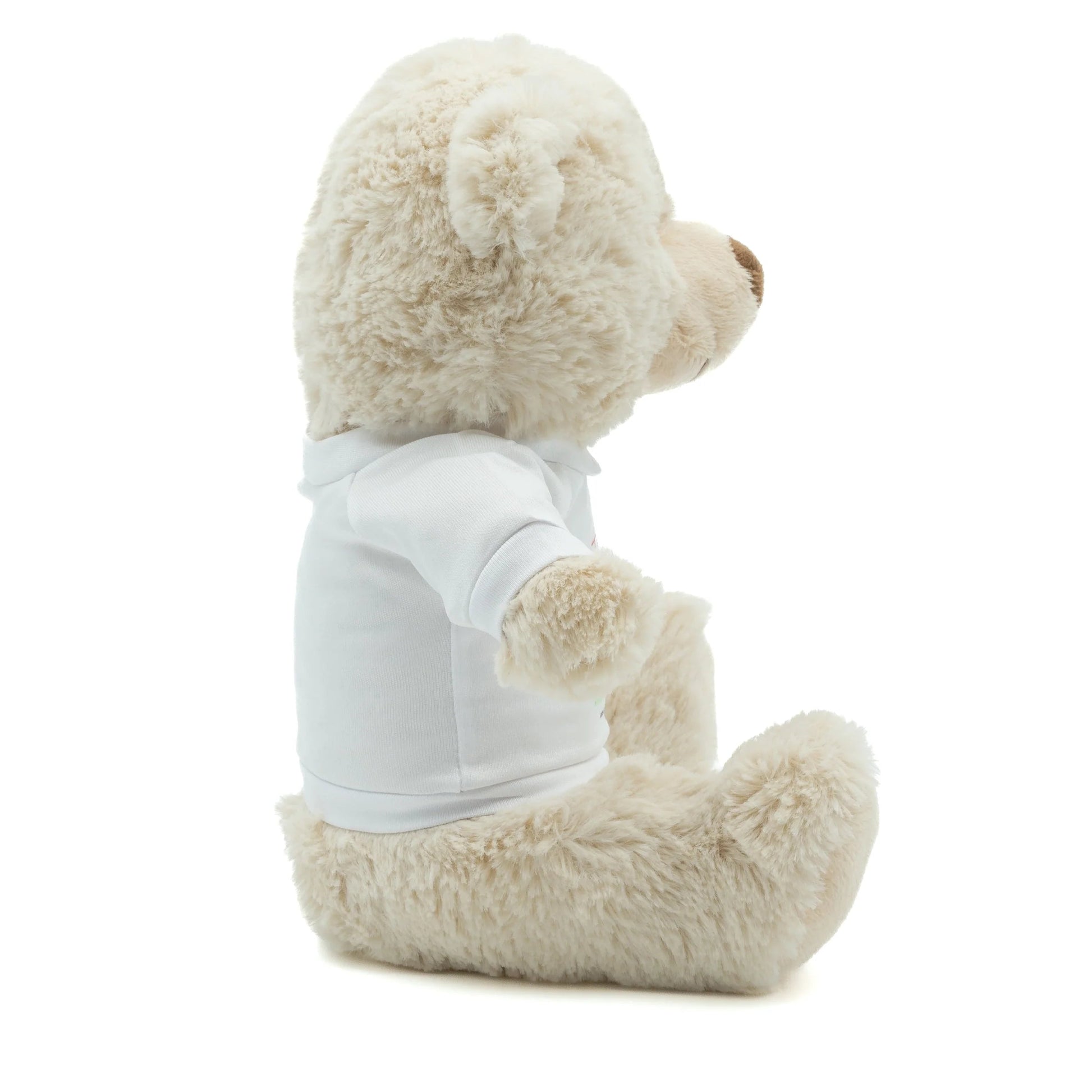 Eddie the Teddy Soft Toy - Class Fundraising UK