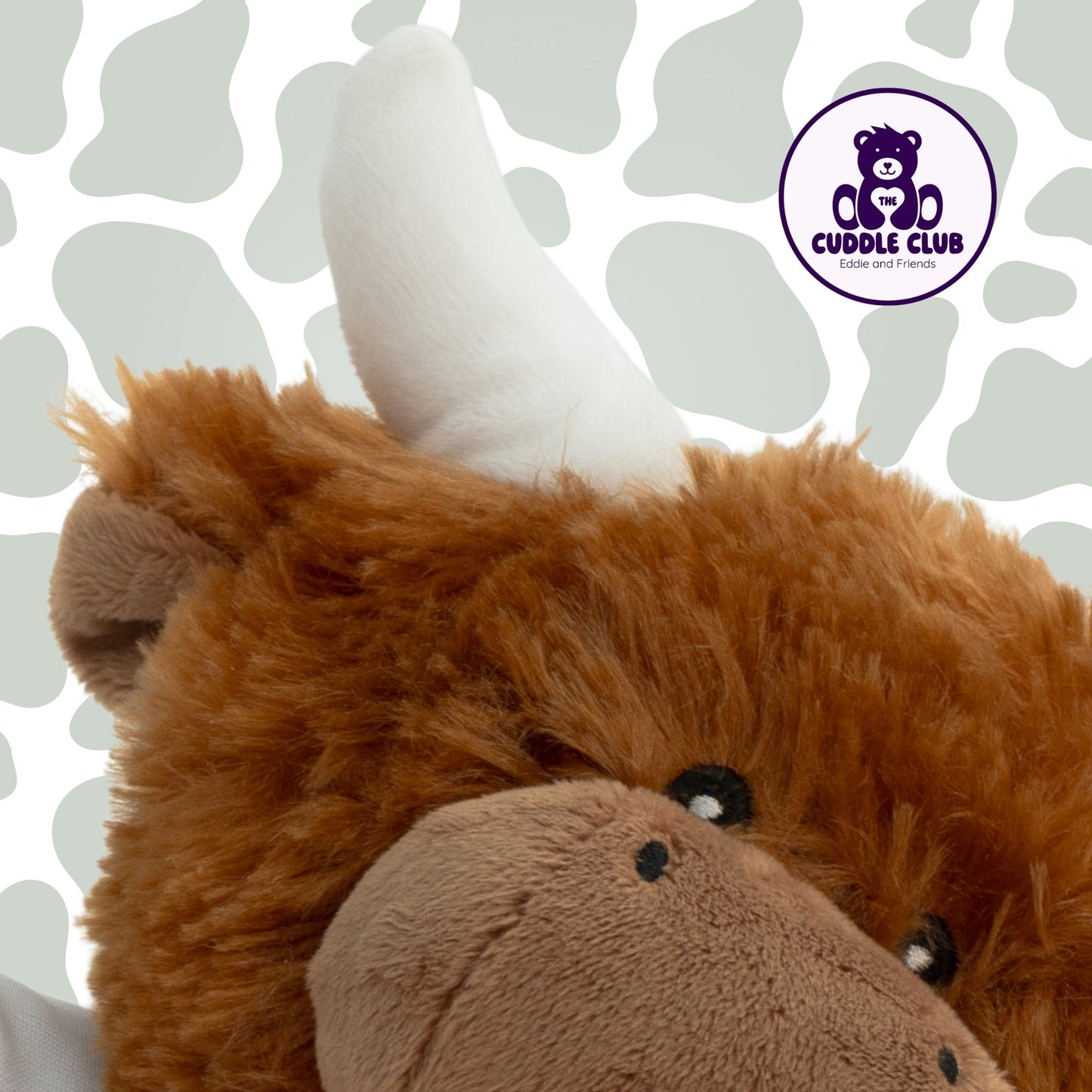 Hamish the Highland Cow | Soft Toy with Removable T-Shirt - Class Fundraising UK